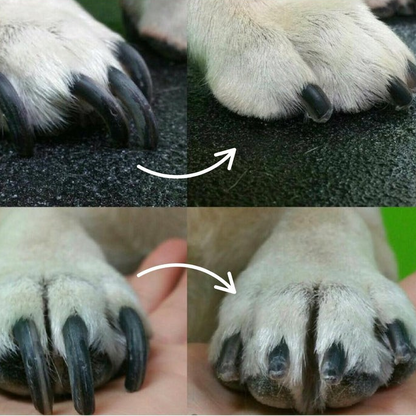 De SafePaw Nagelknipper Hond & Kat - Veilige Elektrische Nagelvijl met LED