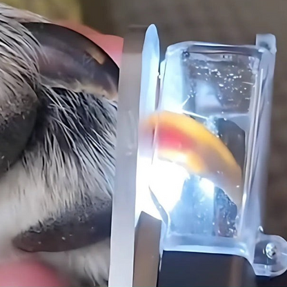 De SafePaw Nagelknipper Hond & Kat - Veilige Elektrische Nagelvijl met LED